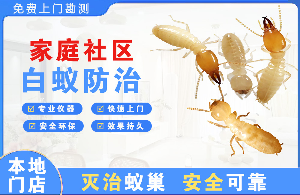 滁州家庭社区白蚁防治