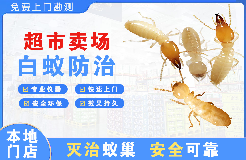 滁州超市卖场白蚁防治