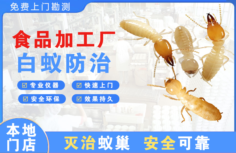 滁州食品加工厂白蚁防治