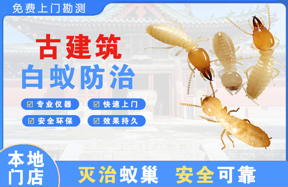 滁州古建筑白蚁防治