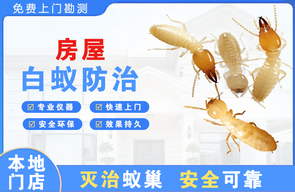 滁州房屋白蚁防治