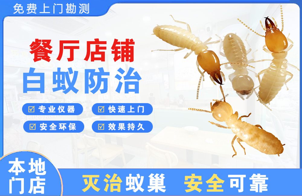 滁州餐厅店铺白蚁防治